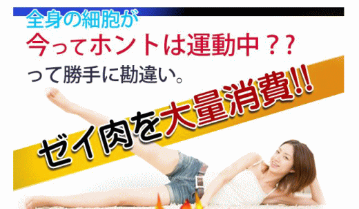 �W�F�b�g�X�g�[�������ʔ�